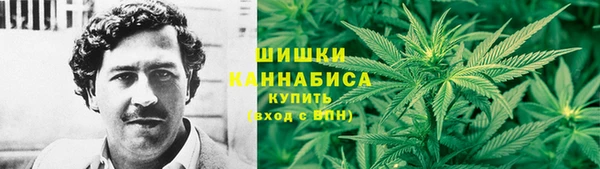 МДПВ Нязепетровск