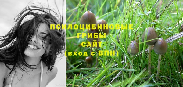 трава Нягань