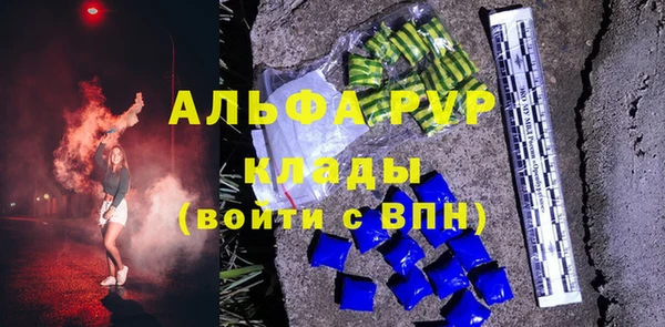 молекула духа Няндома