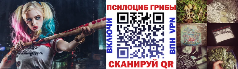hydra вход  Майский  Псилоцибиновые грибы Psilocybe 
